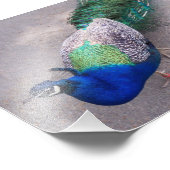 Fotografische afdrukken foto afdruk (Hoek)