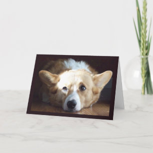 Fotografische Art Corgi-kaart Kaart