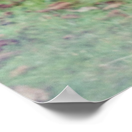 Fotografische zebra poster (Hoek)