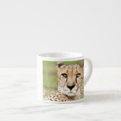 Fotoguepard , kat , dieren . espresso beker espresso kop (Voorkant rechts)