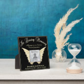 Fotohulde Fotoplaat (Insitu)