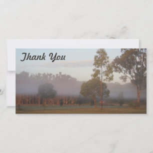 Fotokaart - Kangaroos in de mist Bedankkaart