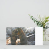 Fotokaart met leuk marmot koppel (Staand voorkant)