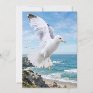 Fotokaart van meeuw, cadeau over kustnatuur, Binne Bedankkaart