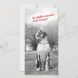 Fotokaarten van Kerstmis van great dane Feestdagenkaart