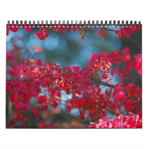 Fotokalender 2007 - Gepersonaliseerd Kalender