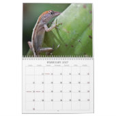 Fotokalender 2013 kalender (Feb 2027)