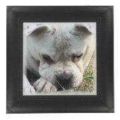 Fotokubus - Faux Lijst - HAMbWG (Rechts)