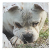 Fotokubus met lacy look-framing - HAMbWG (Rechts)