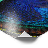 Fotokunst van hedendaagse peacock, close-up foto afdruk (Hoek)