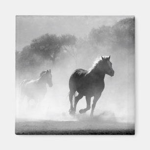 Fotokunstwerk voor zwarte en witte draaipaarden magneet