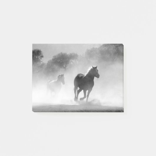 Fotokunstwerk voor zwarte en witte draaipaarden post-it® notes (Voorkant)