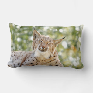 Fotolynxkat, dieren, kussen weggooien