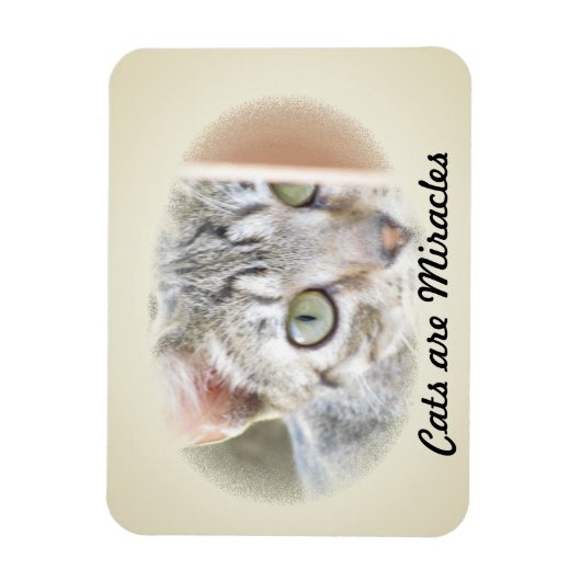Fotomagneet - Katten zijn wonderen v.2 Magneet (Verticaal)