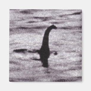 Fotomagneet van de chirurg magneet