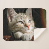 Fotonaam instellen sherpa deken (Voorkant (horizontaal))