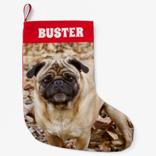 Fotonaam pug-hond kleine kerstsok