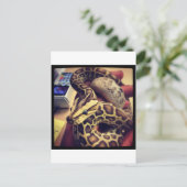 Fotoontwerp van de hypo-baby birmese python. briefkaart (Staand voorkant)