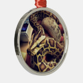 Fotoontwerp van de hypo-baby birmese python. metalen ornament (Rechts)
