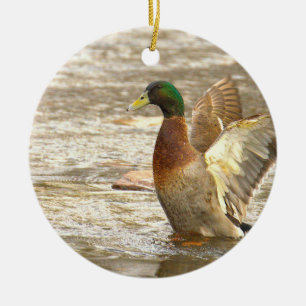 Fotoornament Wilde Eend Keramisch Ornament