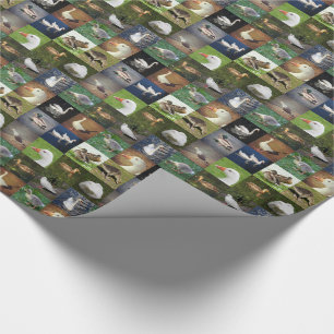 Fotopatchwork - vogels cadeaupapier