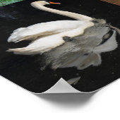 Fotopatchwork - vogels poster (Hoek)