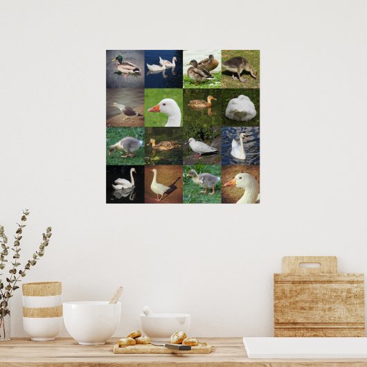 Fotopatchwork - vogels poster (Keuken)