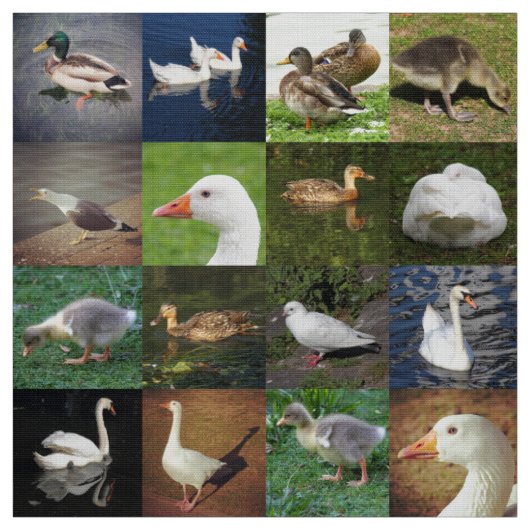 Fotopatchwork - vogels stof (Swatch)