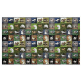 Fotopatchwork - vogels stof (Fat Quarter)