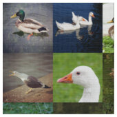 Fotopatchwork - vogels stof (Close Up)