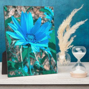 Fotoplaque van Wilde Blue Sunflower Fotoplaat
