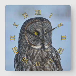 Fotoportret II: Grote grijze boomkorren Wildlife Vierkante Klok