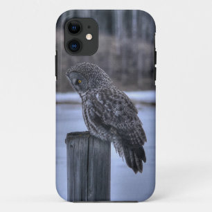 Fotoportret III: Great Grey Owl Wildlife iPhone 11 Hoesje