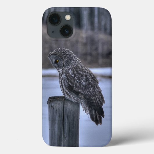 Fotoportret III: Great Grey Owl Wildlife Case-Mate iPhone Case (Achterkant)