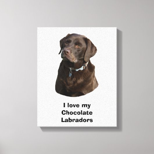 Fotoportret van Chocolate Labrador Canvas Afdruk (Voorkant)