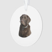 Fotoportret van Chocolate Labrador Ornament (voorkant)