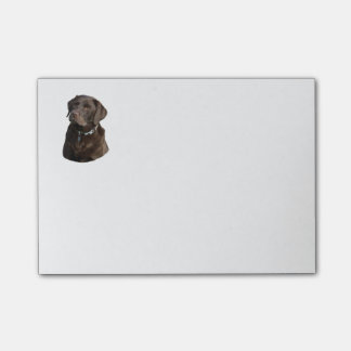 Fotoportret van Chocolate Labrador Post-it® Notes