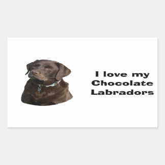 Fotoportret van Chocolate Labrador Rechthoekige Sticker
