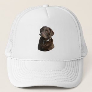 Fotoportret van Chocolate Labrador Trucker Pet