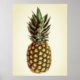 Fotoposter kleine ananas poster
