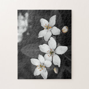 Fotopuzzel voor zwart en wit legpuzzel