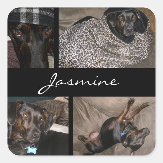 Foto's Collage Monogram Hondenliefhebber Vierkante Sticker (Voorkant)