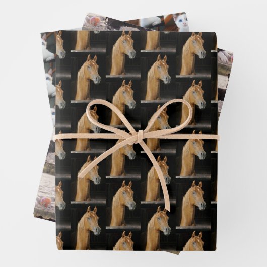 Foto's dierenvriend Pet Inpakpapier Vel (In situ)