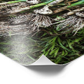 Foto's met fris pulled knoflook foto afdruk (Hoek)