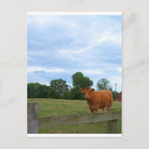 Foto's op het Engelse platteland Briefkaart