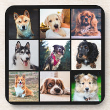 Foto's puppies Honden Instagram