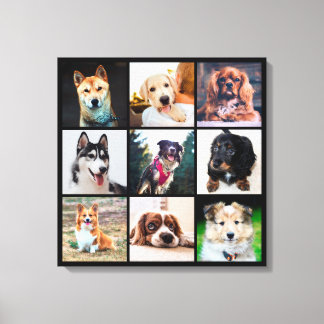 Foto's puppies Honden Instagram Canvas Afdruk