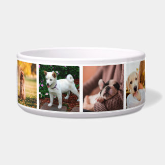 Foto's puppies Honden Instagram Voerbakje