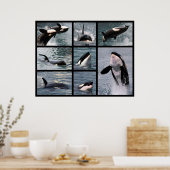Foto's van dodelijke walvissen poster (Keuken)