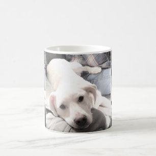 Foto's van een superluiftige puppydog die uitkoelt koffiemok